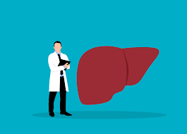 Advances in NASH Research: New Pathways for Diagnosis and Treatment