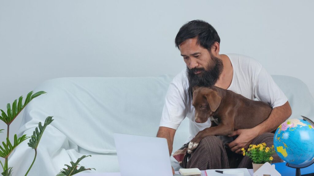 Detailed Pet Care Guides on Pet5ardas com